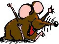 mouse.gif